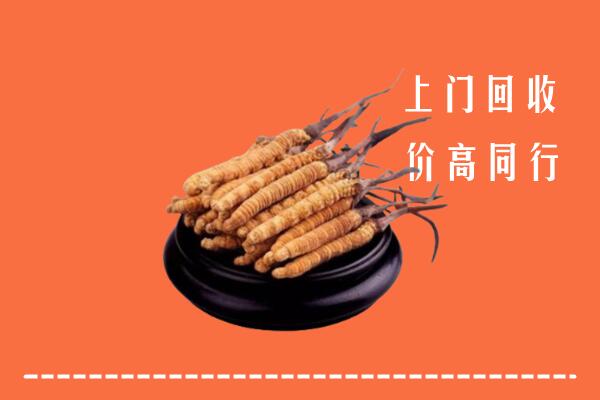 高价求购：乌兰察布察哈尔右中回收散虫草