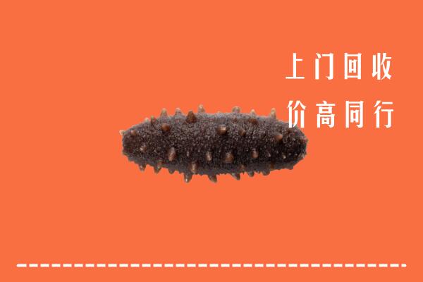 乌兰察布察哈尔右中回收海参