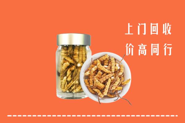 乌兰察布察哈尔右中回收冬虫夏草