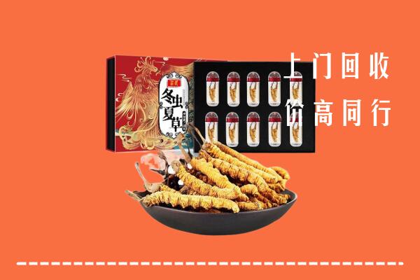 乌兰察布察哈尔右中回收虫草